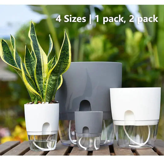 Transparent  Self Watering Flowerpot