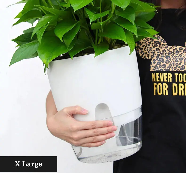 Transparent  Self Watering Flowerpot